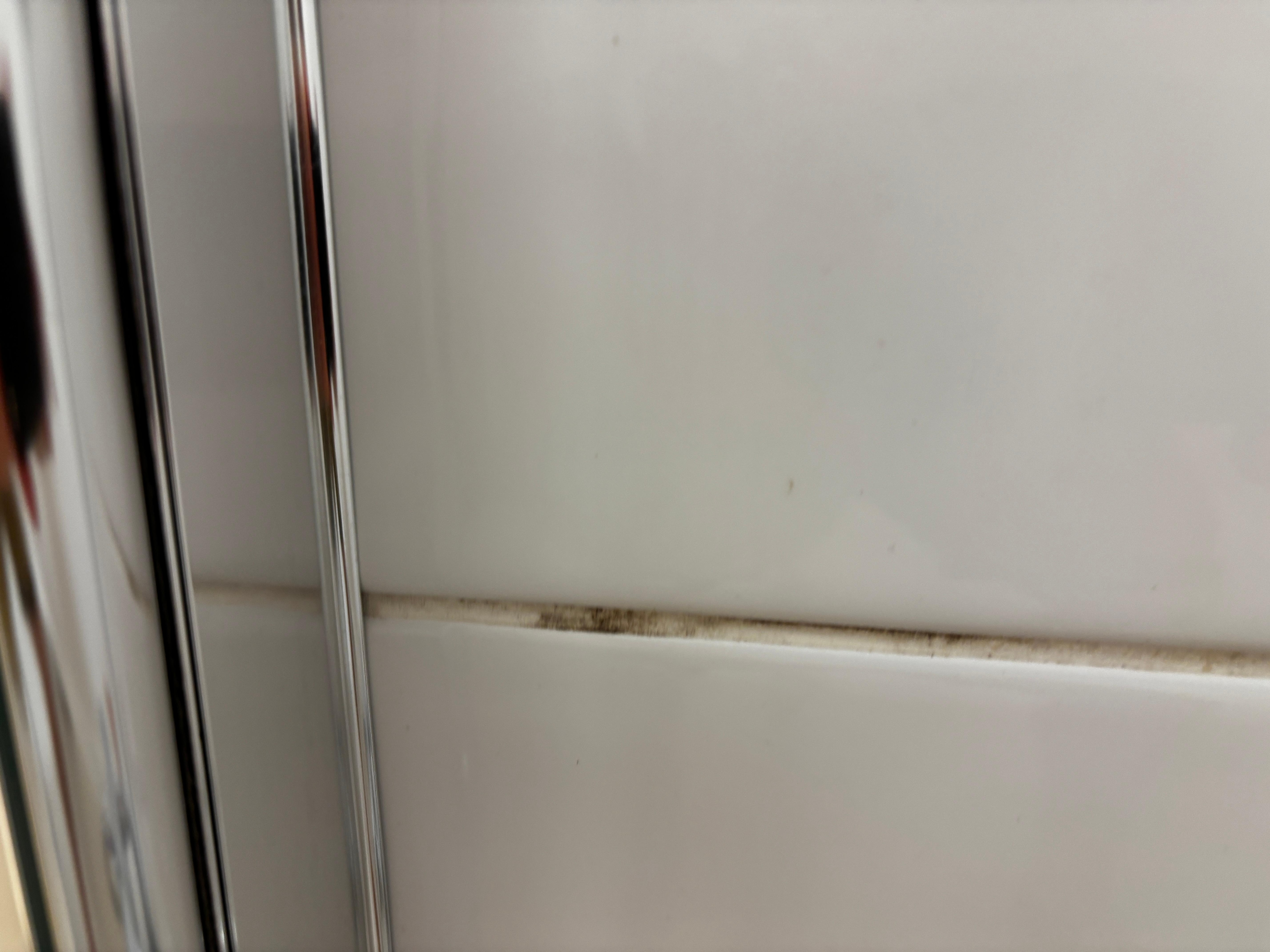 Mold in bathroom