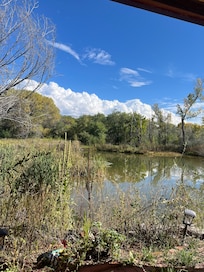 Pond