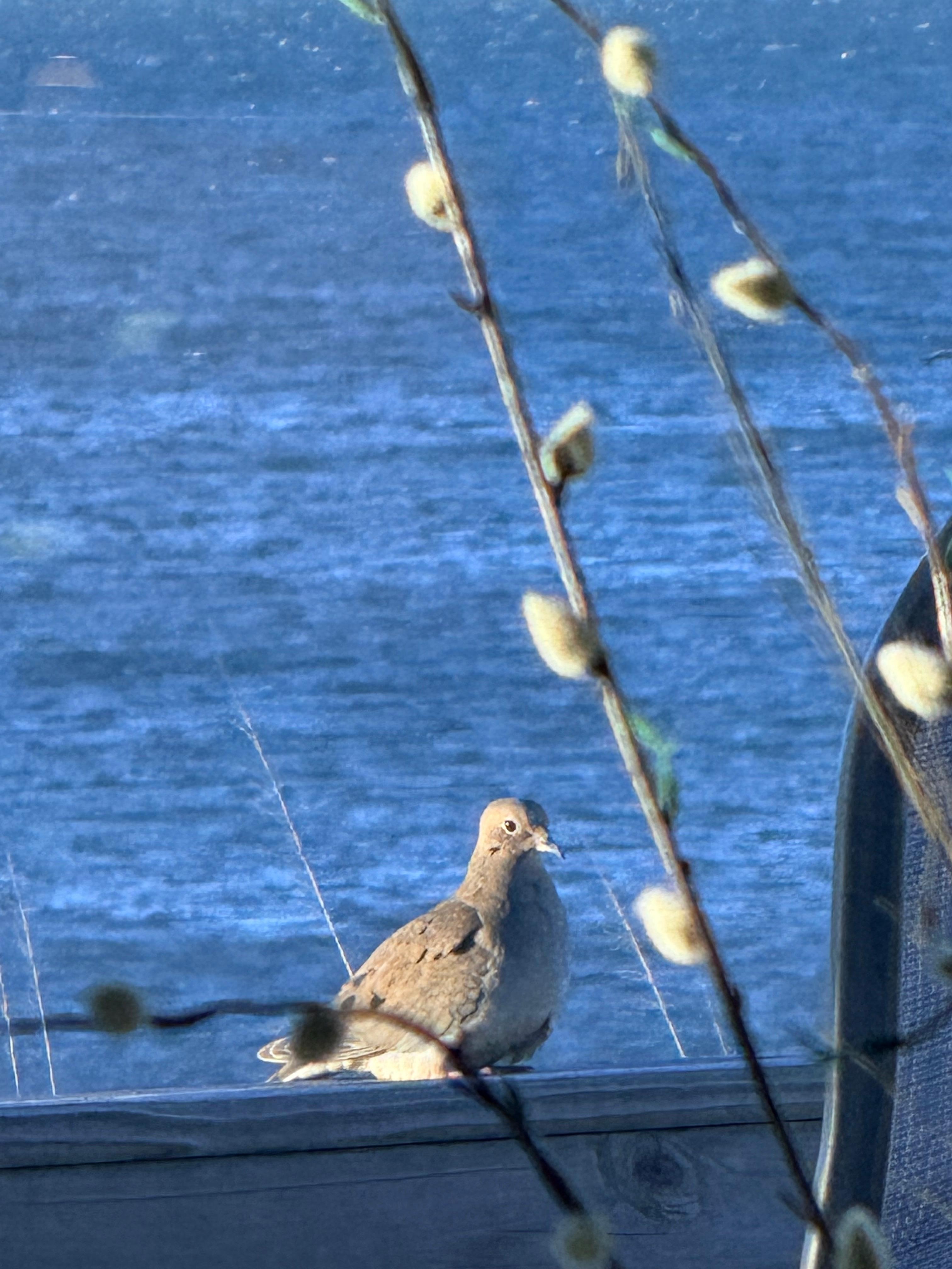 Water view from inside (zoomed in)