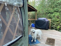 Henry loved his first camping experience