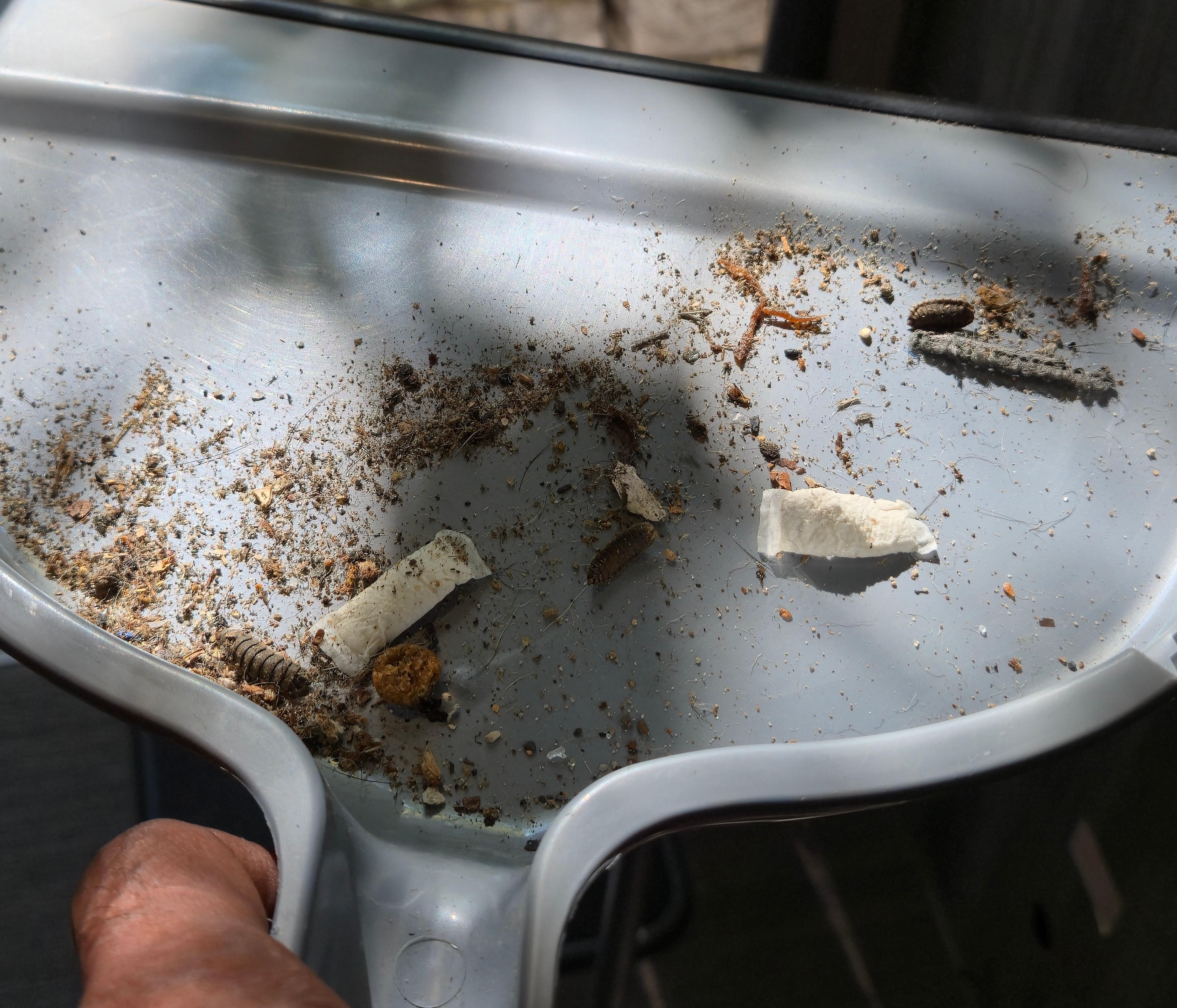 Trash in the place when I first got there. 