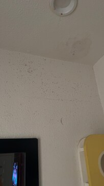 Stained walls
