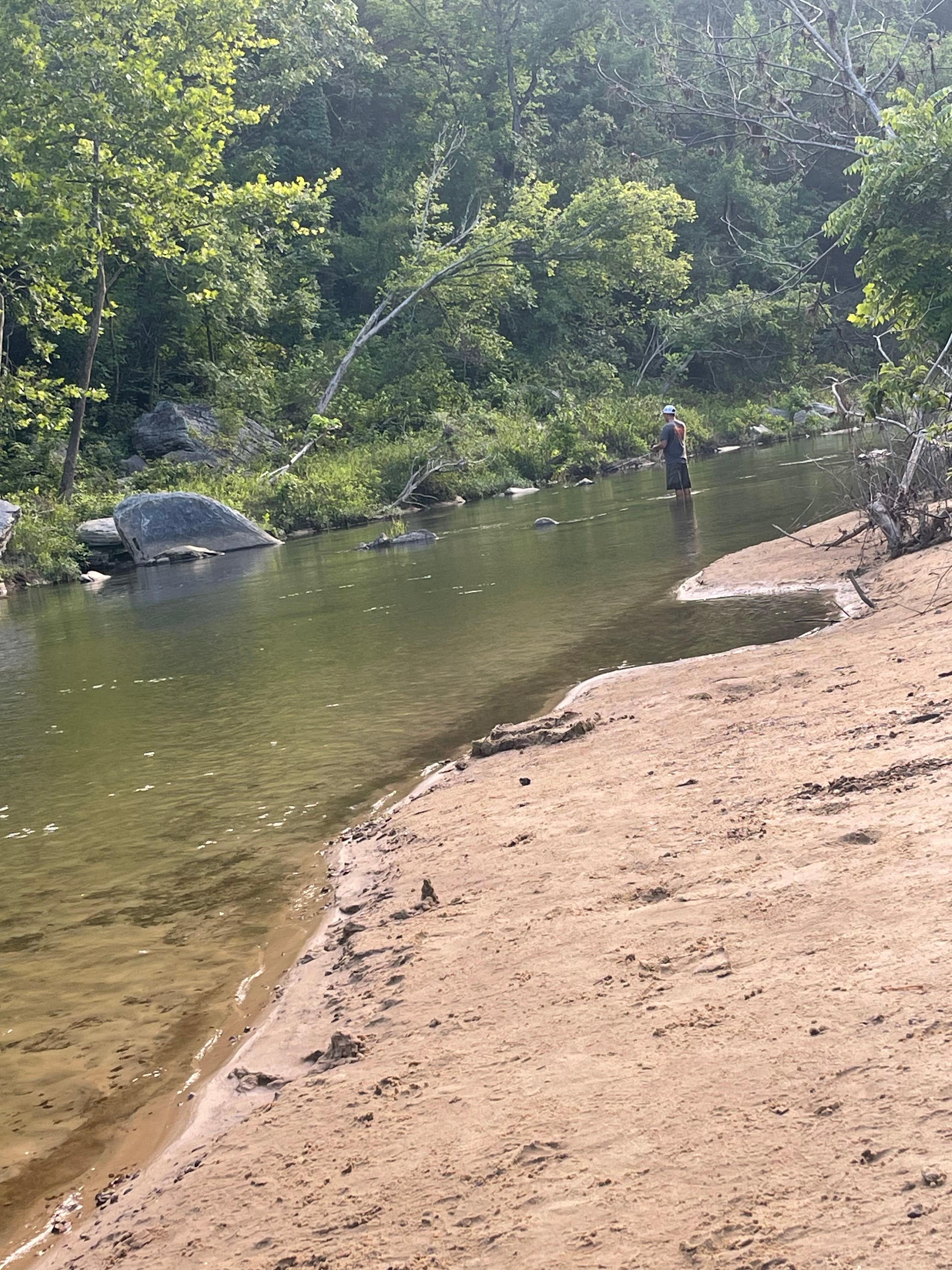 The sun fish were fun to catch as long as the bass!