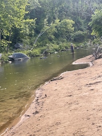 The sun fish were fun to catch as long as the bass!