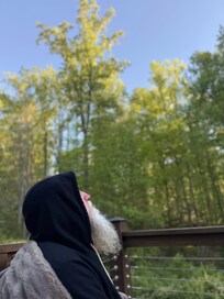 Listening to nature