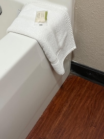 Filth. Bugs and dirty bathroom
