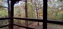 View from the porch into the woods.
