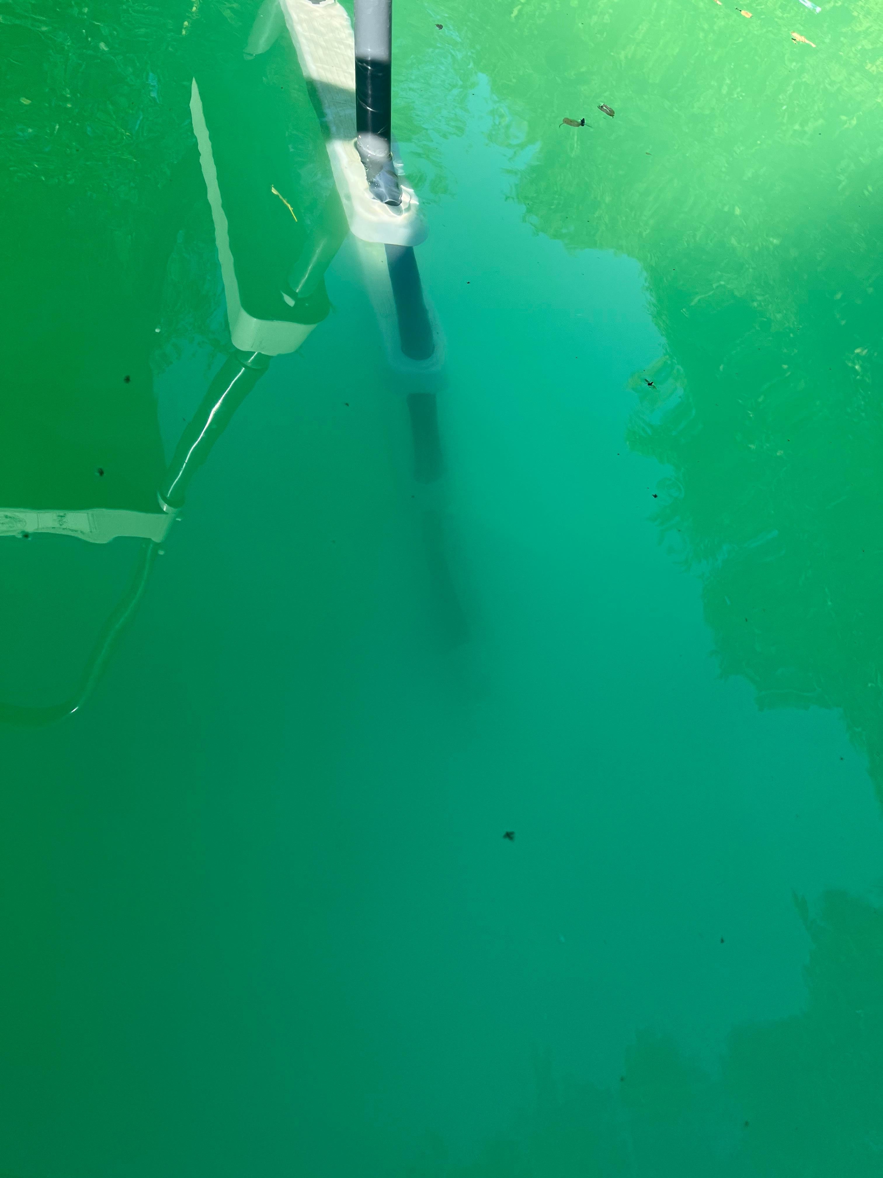 Eau trouble dont on ne voit même pas le fond…. 