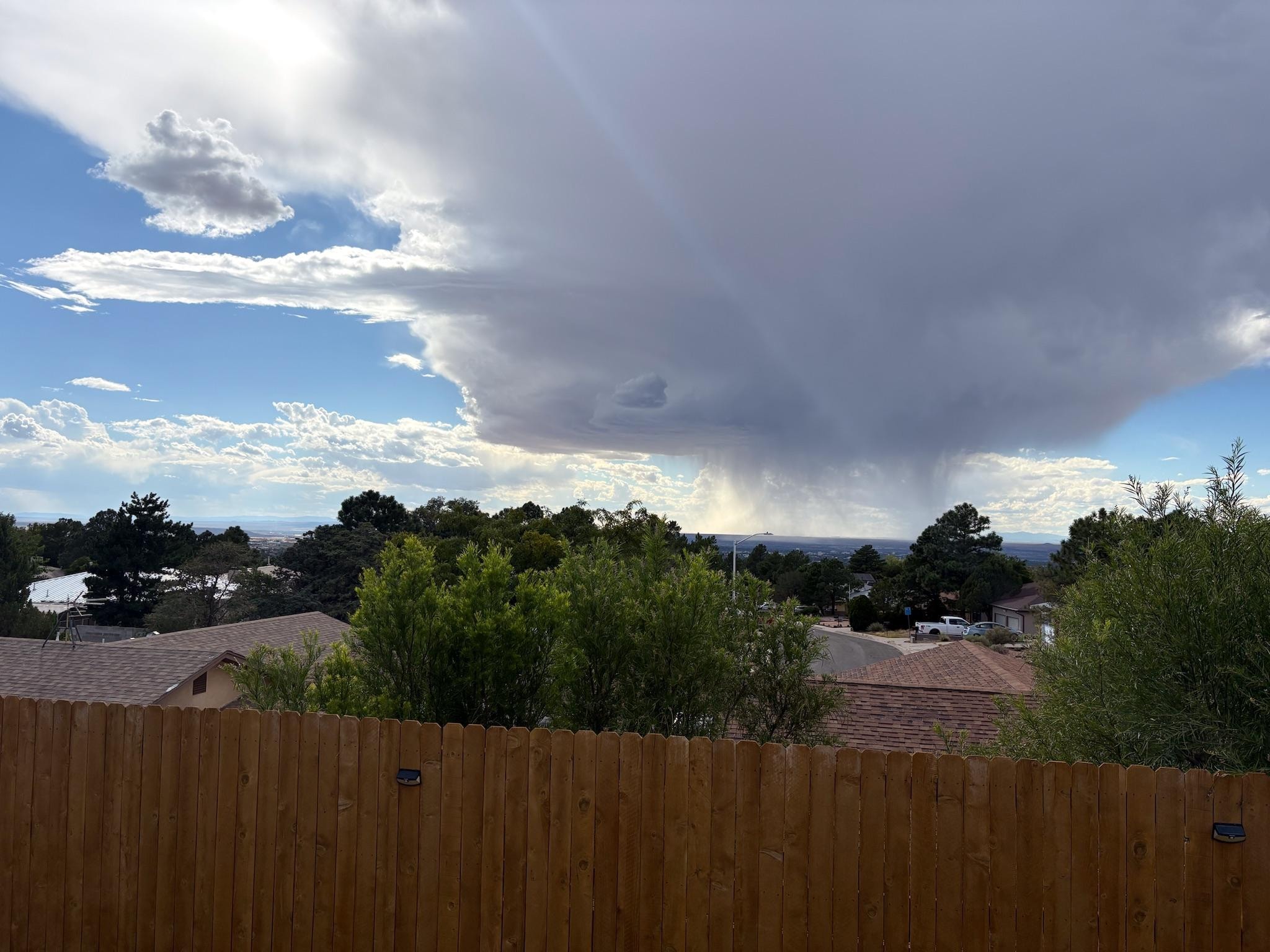 First time opening the back door to see the view! Brought me to tears.