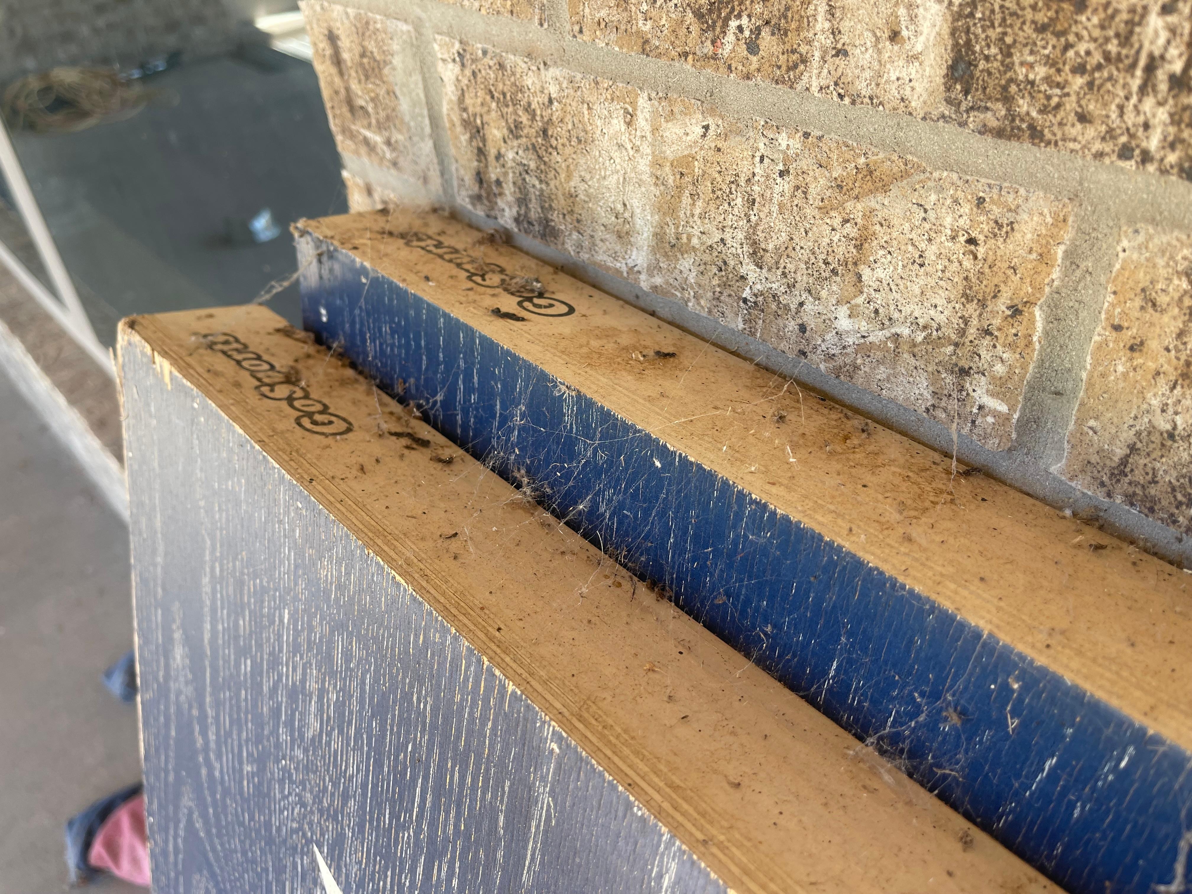 Bird crap on the corn hole