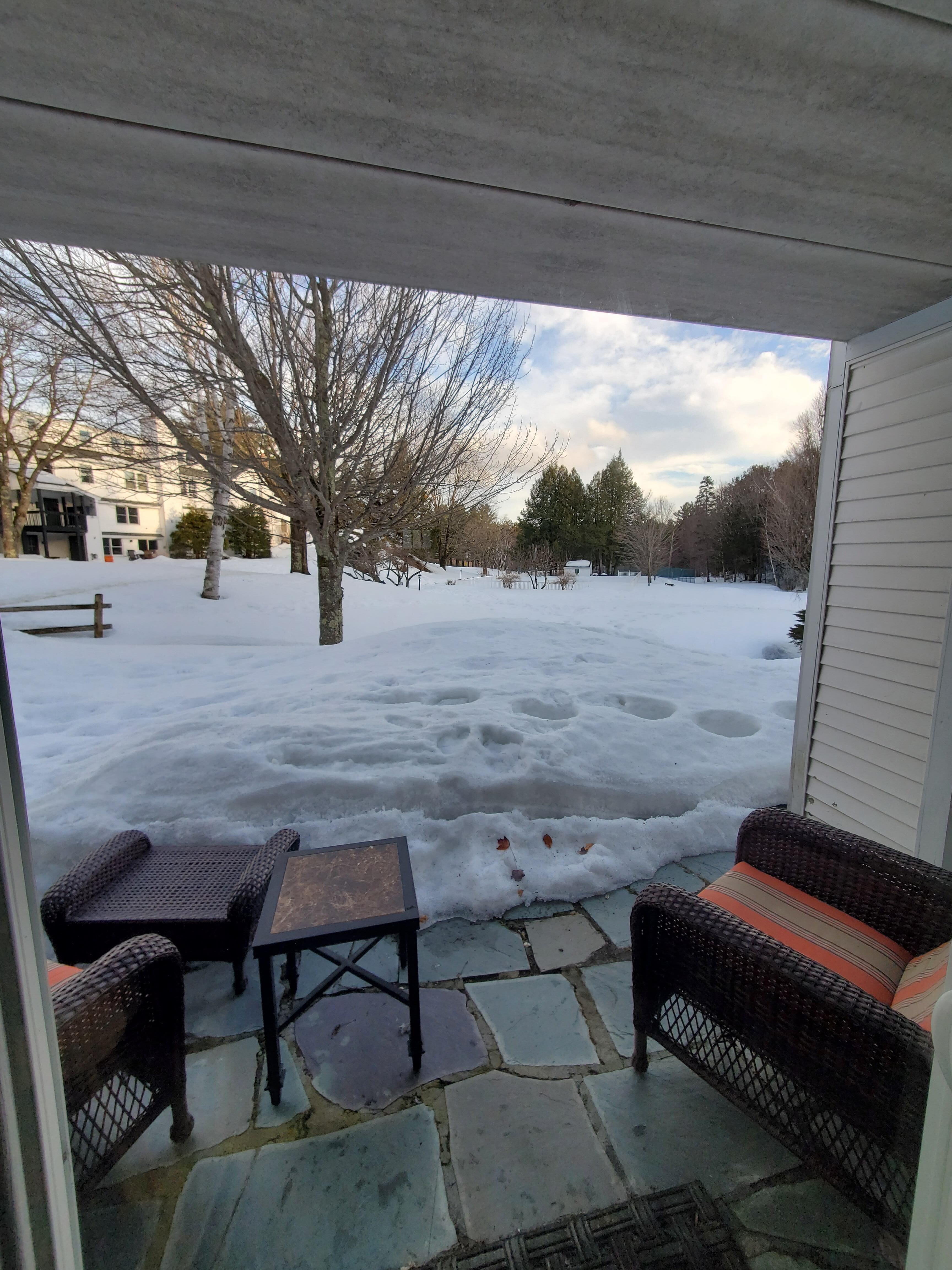 View from Living room toward pool, ski over to lift