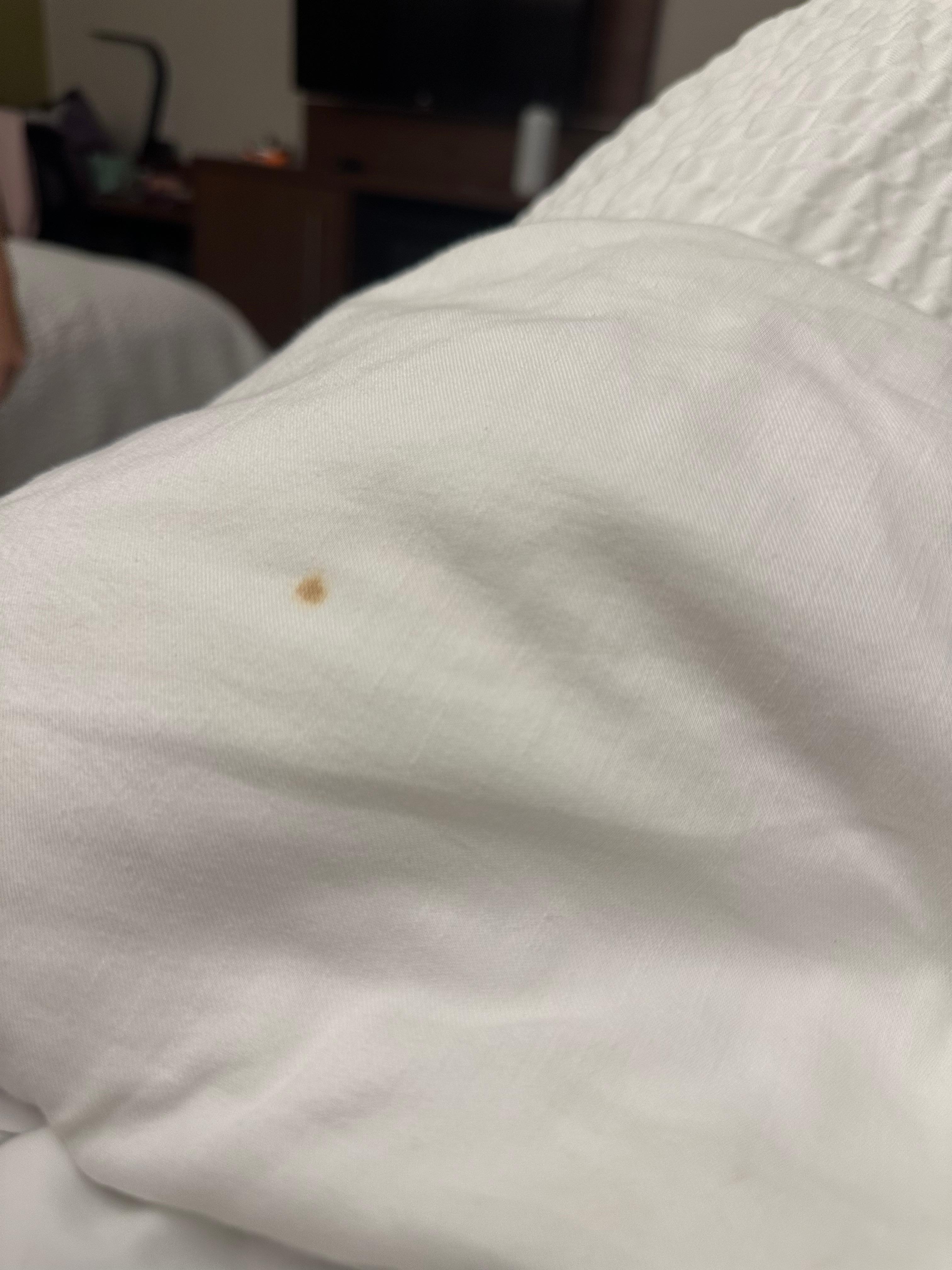 Bed 1 