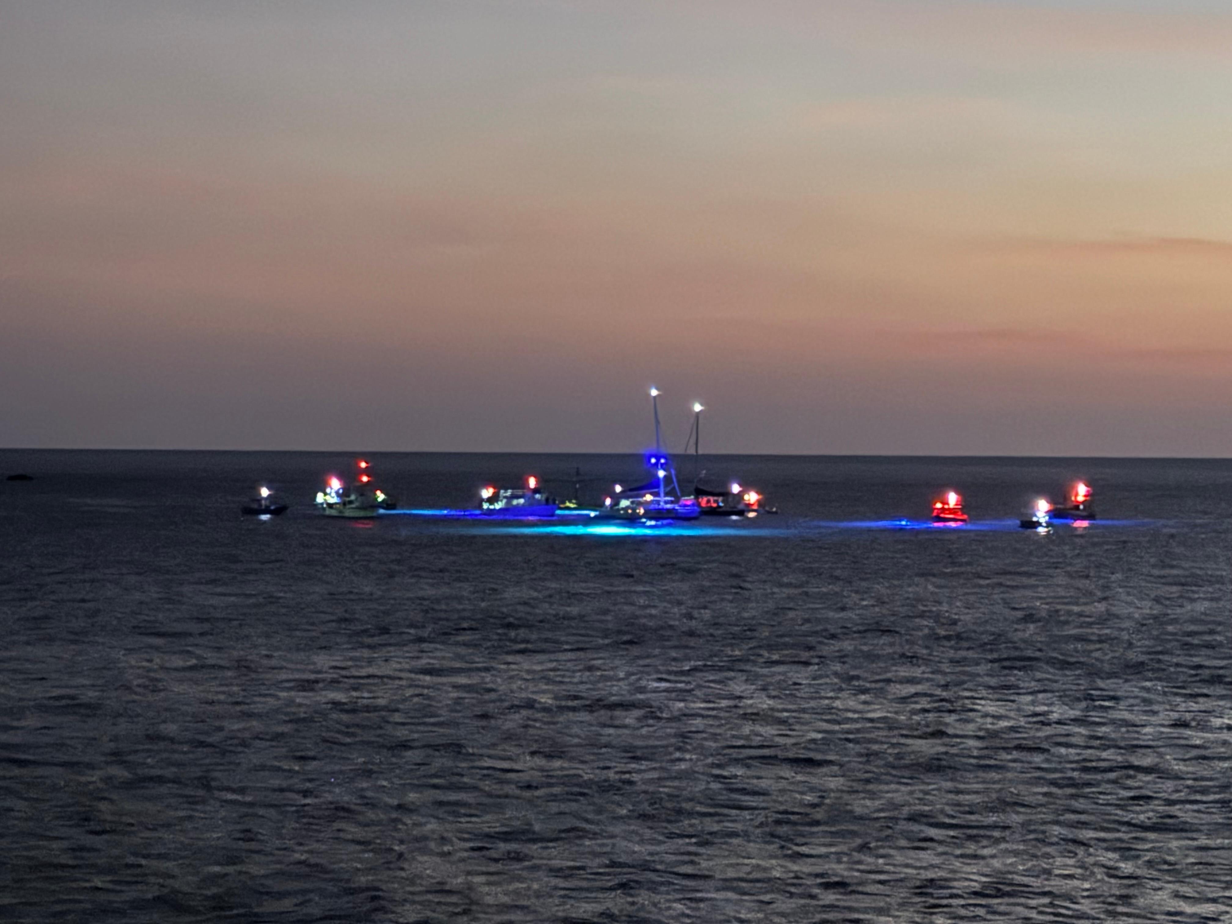 Nightly manta ray excursions