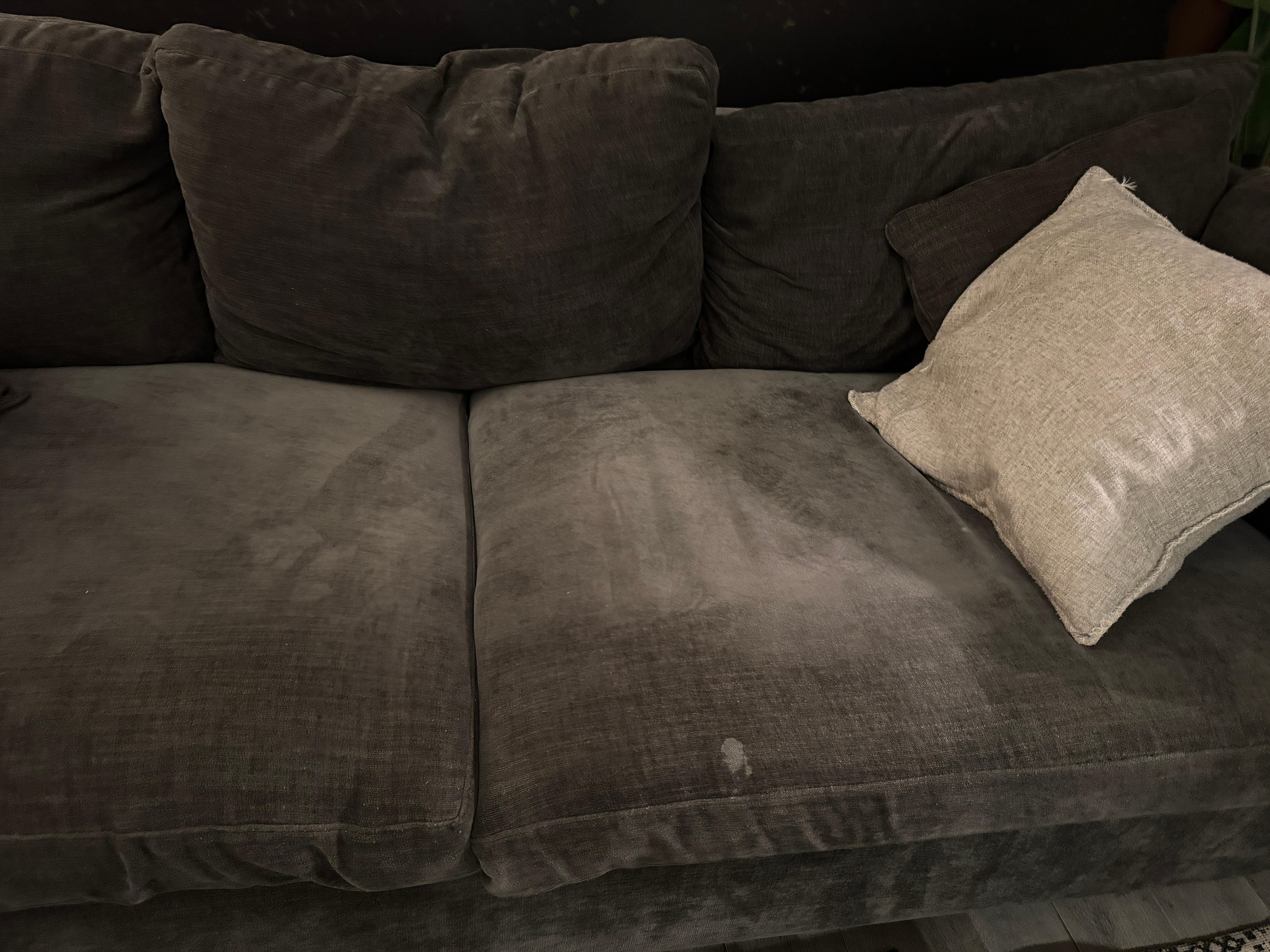 Large stain on living room couch.