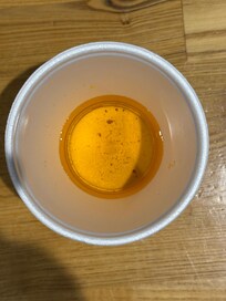 Unidentified bits in my apple juice