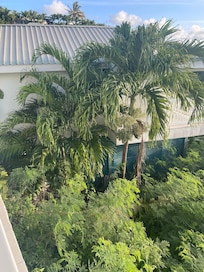 Grounds