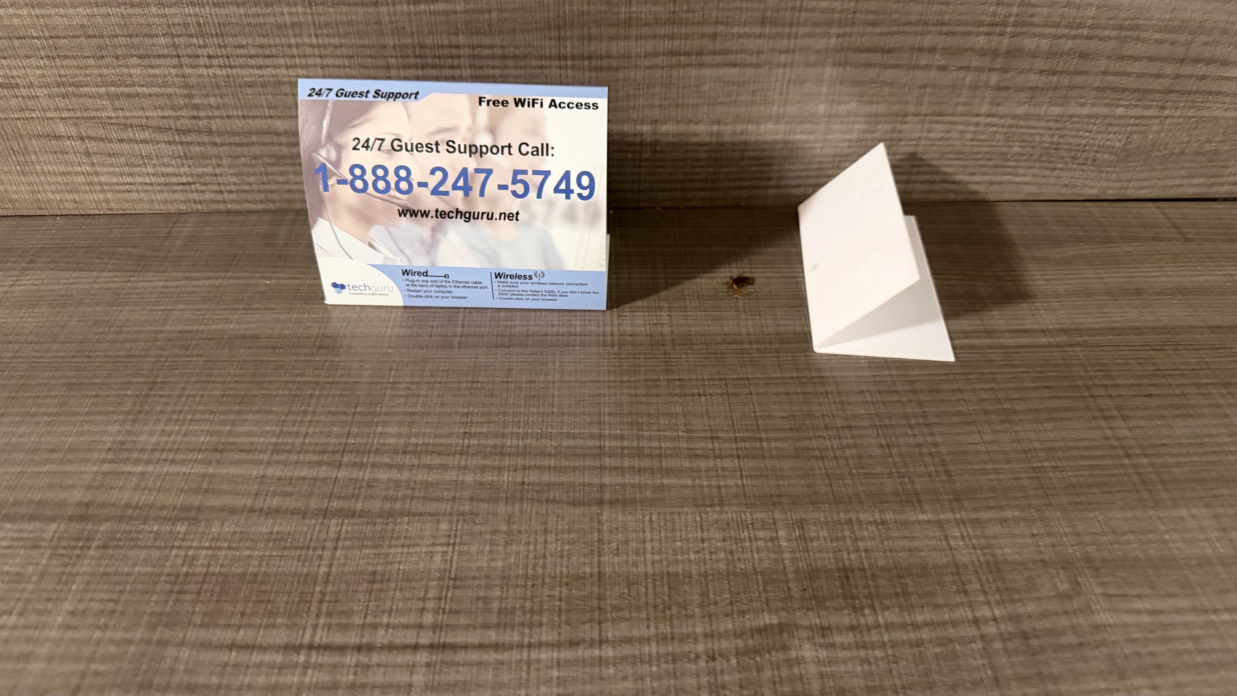 Roach dangling off ceiling 