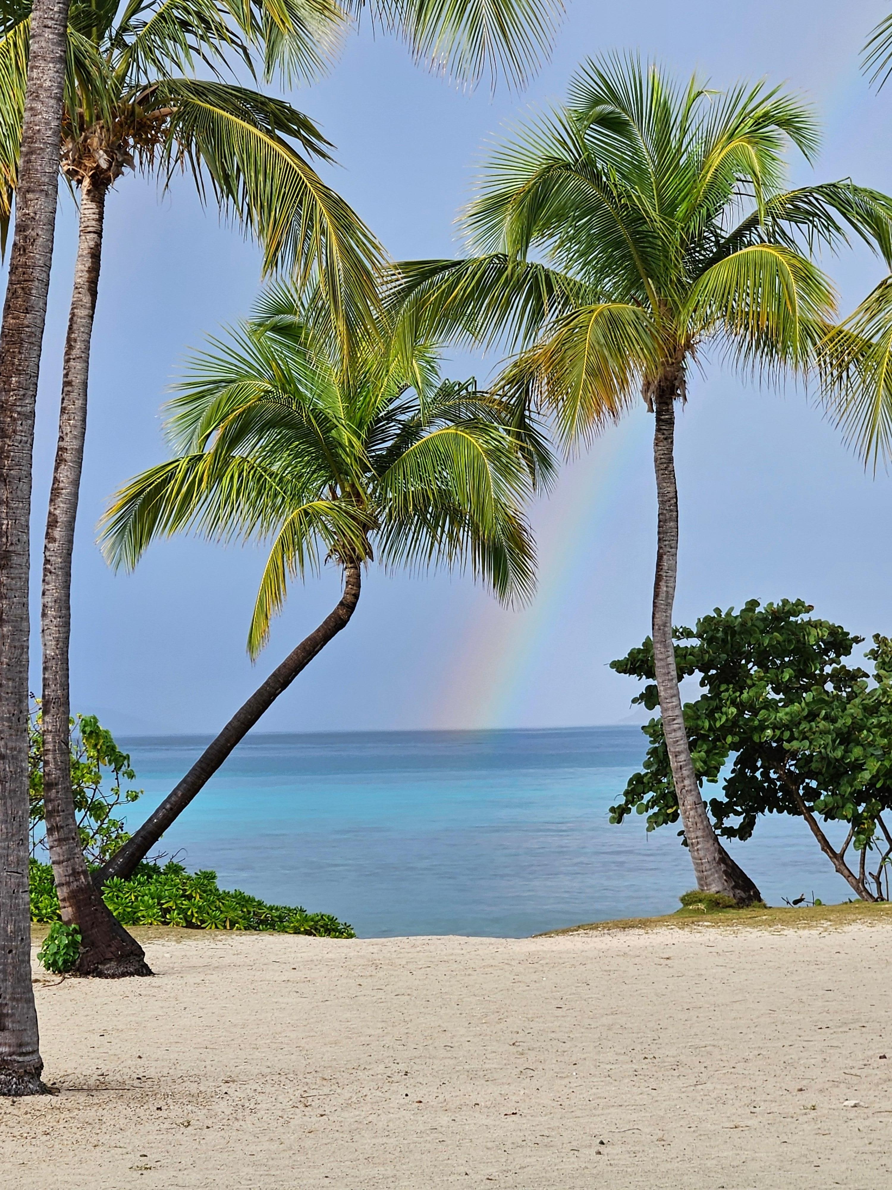 This rainbow captured sitting right on the covered patio!