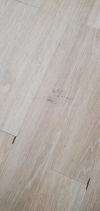 Floors had not been swept