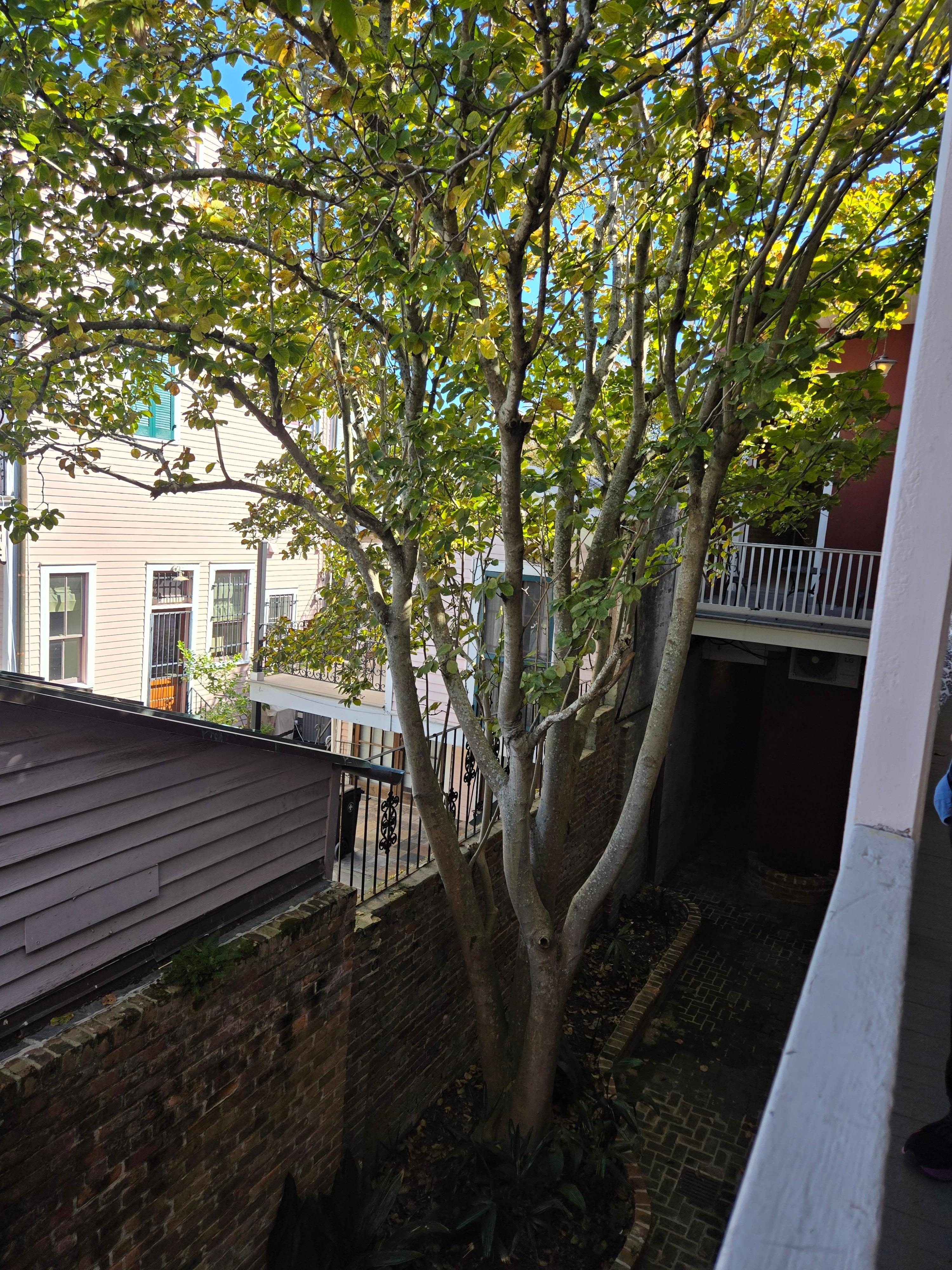 Balcony overlooking private garden