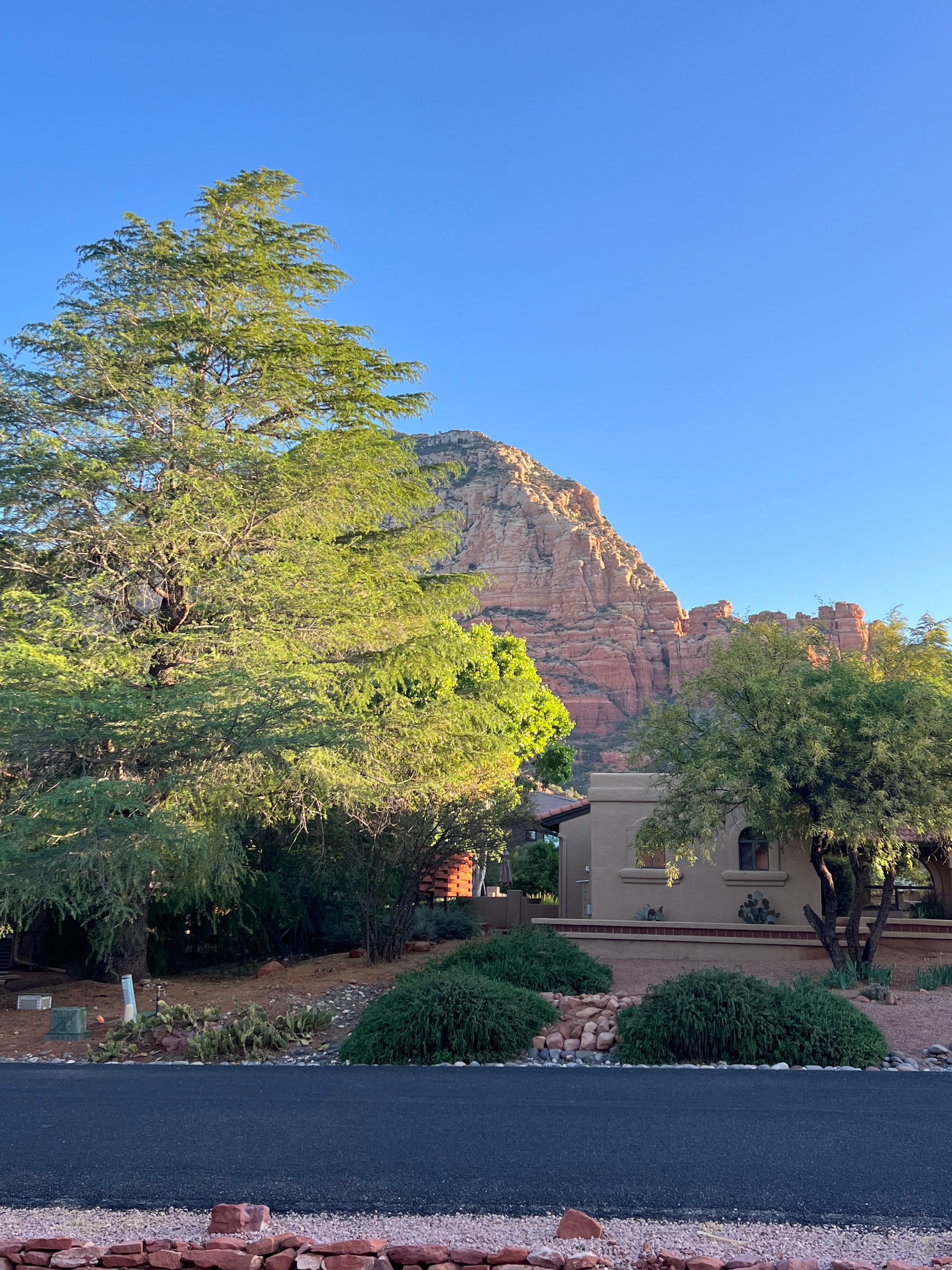 Early Morning View from front door