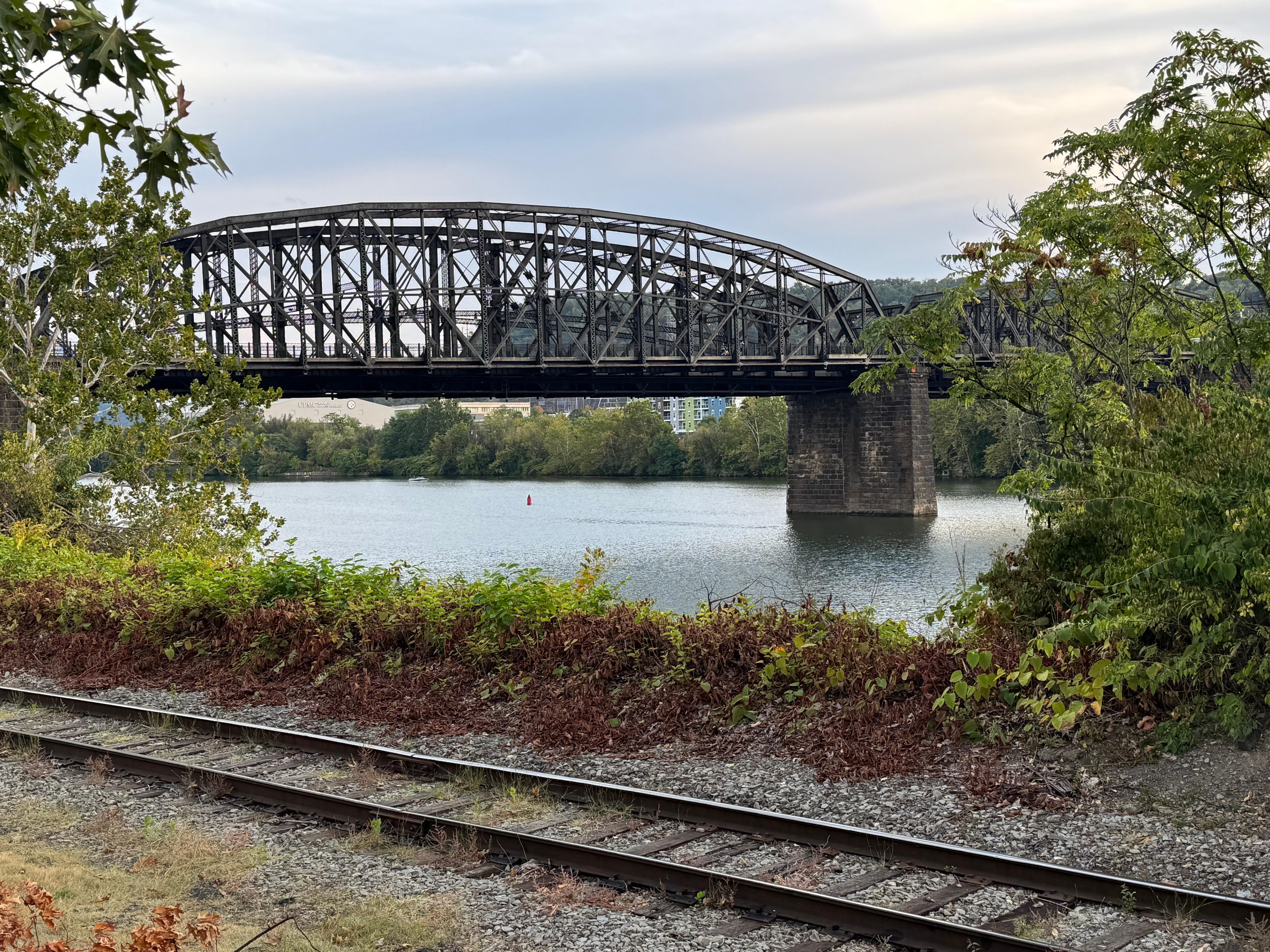 Bridge across the Allegheny. 
