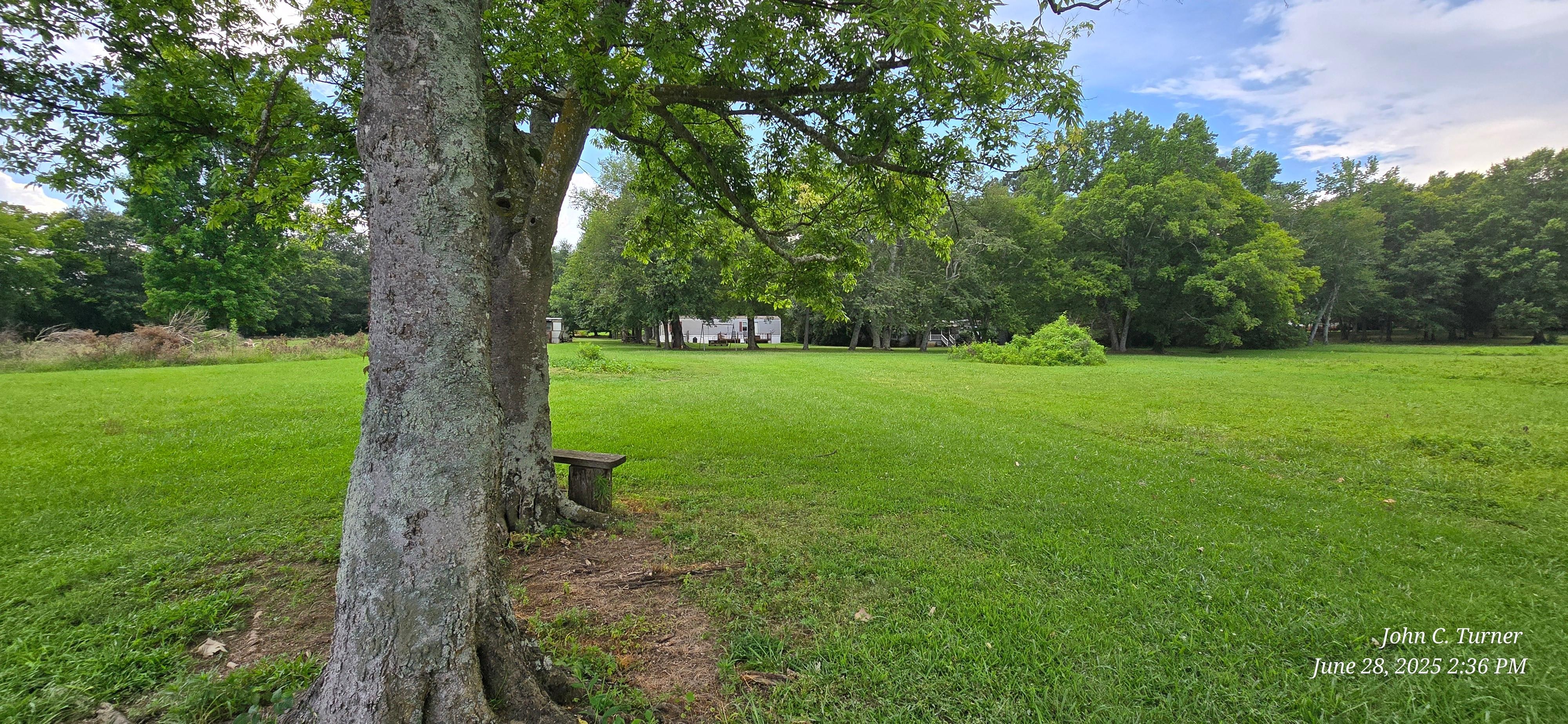 View of the back yard from the lake