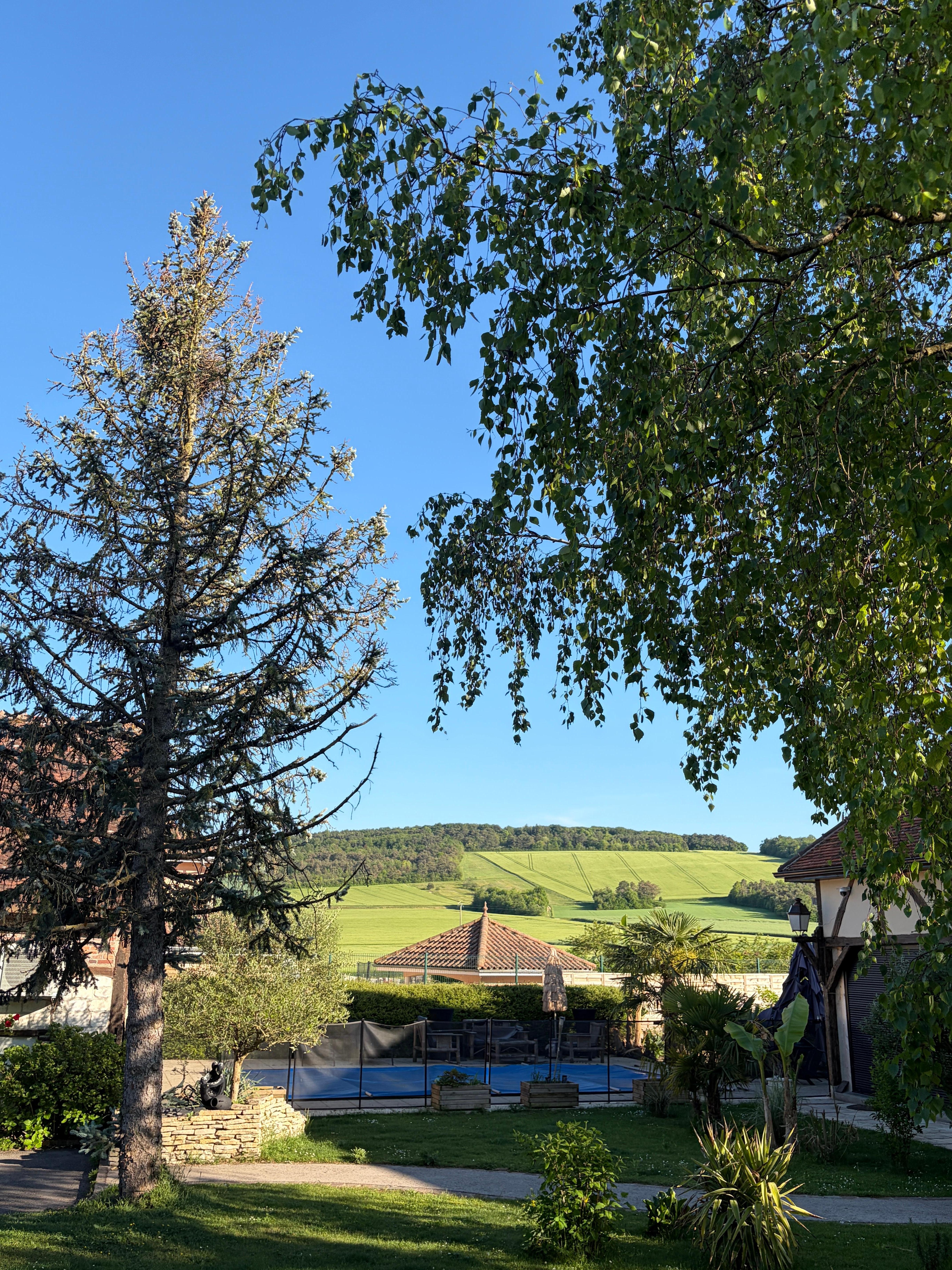 Blick auf die Felder hinterm Haus 