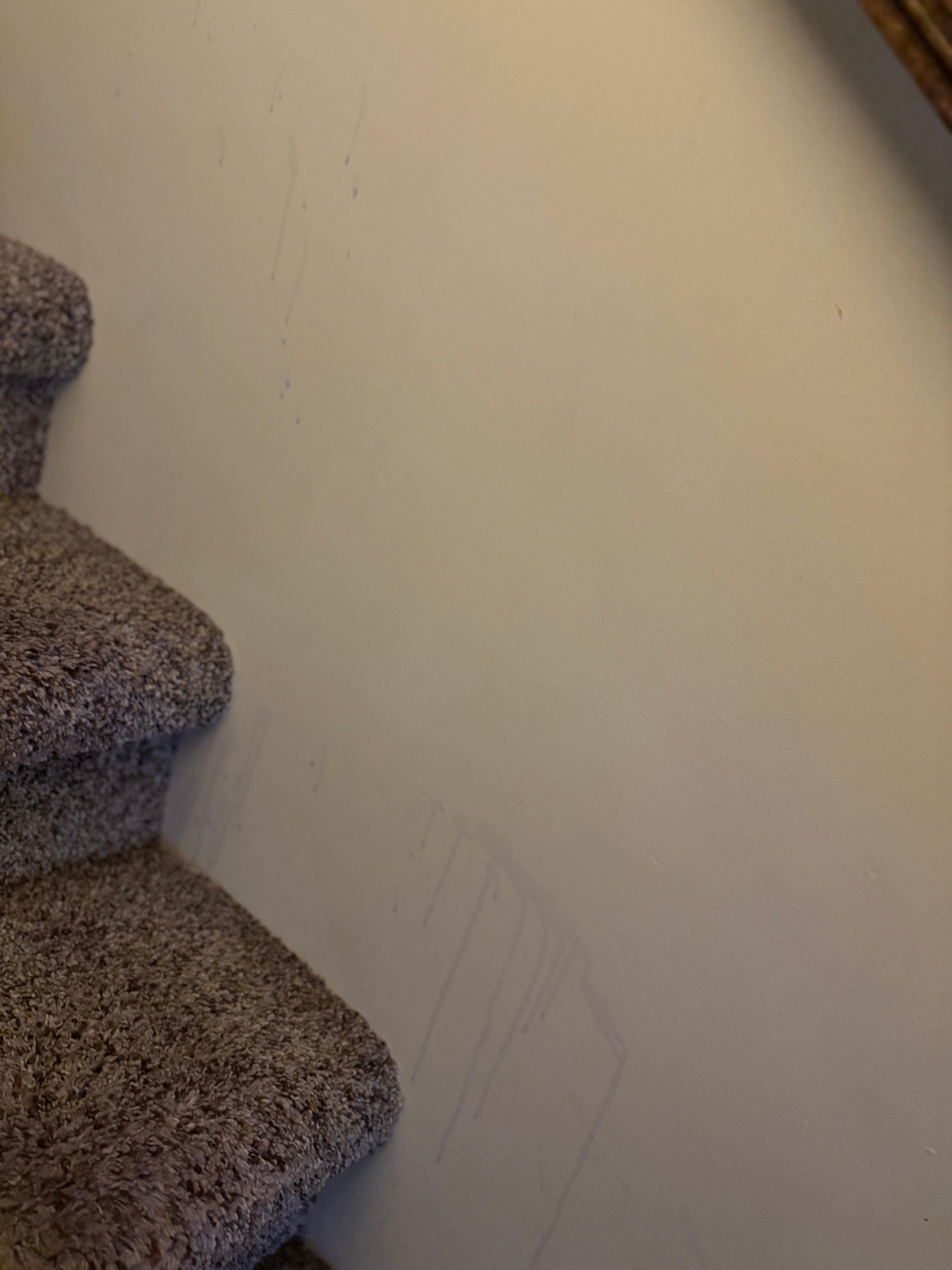 Stain/spill not cleaned in stairway 