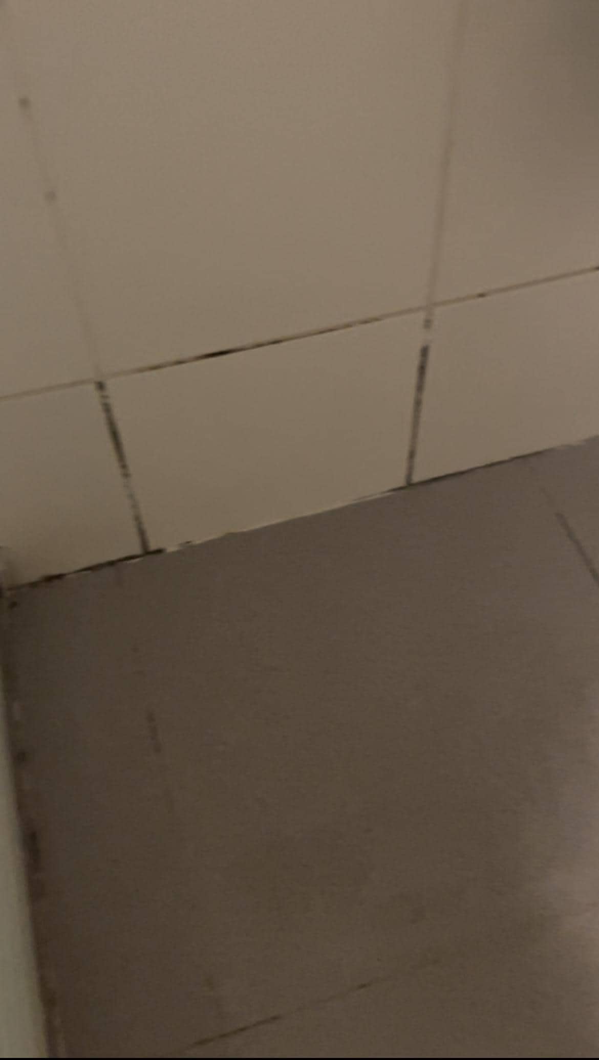 Mold in the bathroom