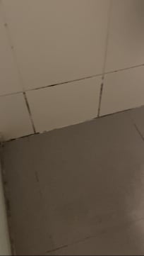 Mold in the bathroom