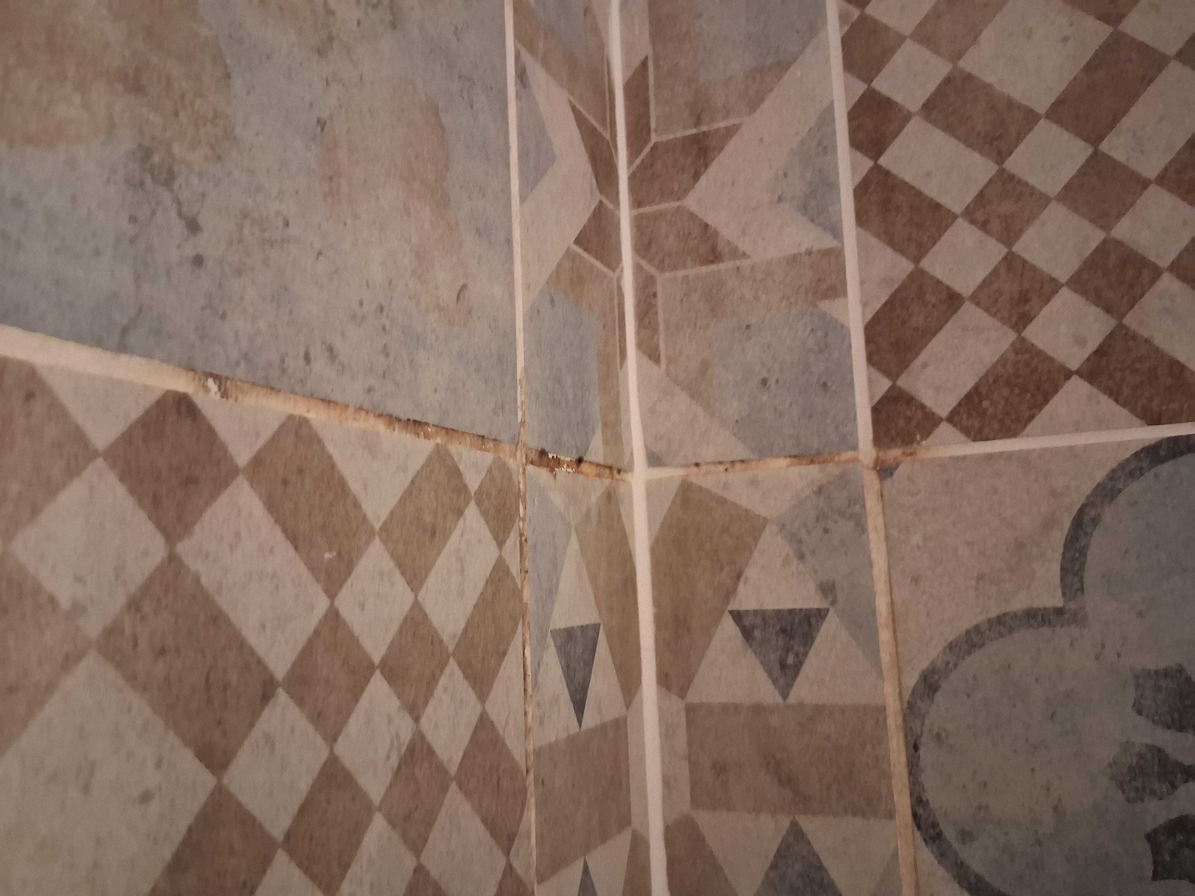 Dirty tiles in shower 