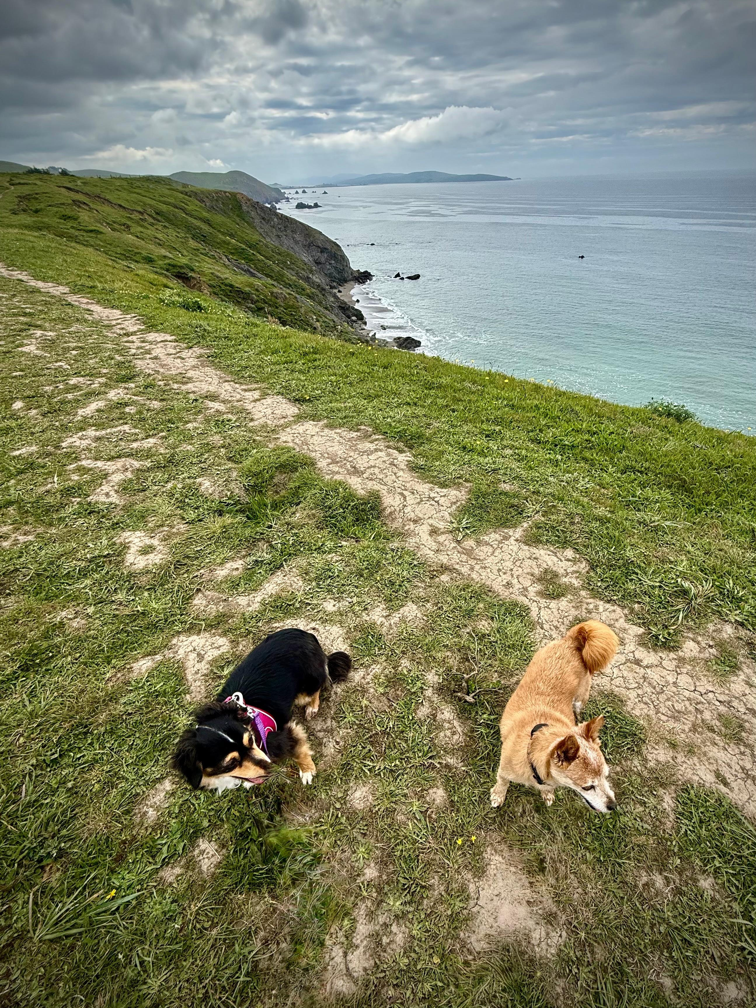 The amazing trail adjacent to the house