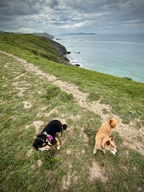 The amazing trail adjacent to the house