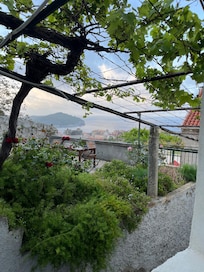 View from cottage