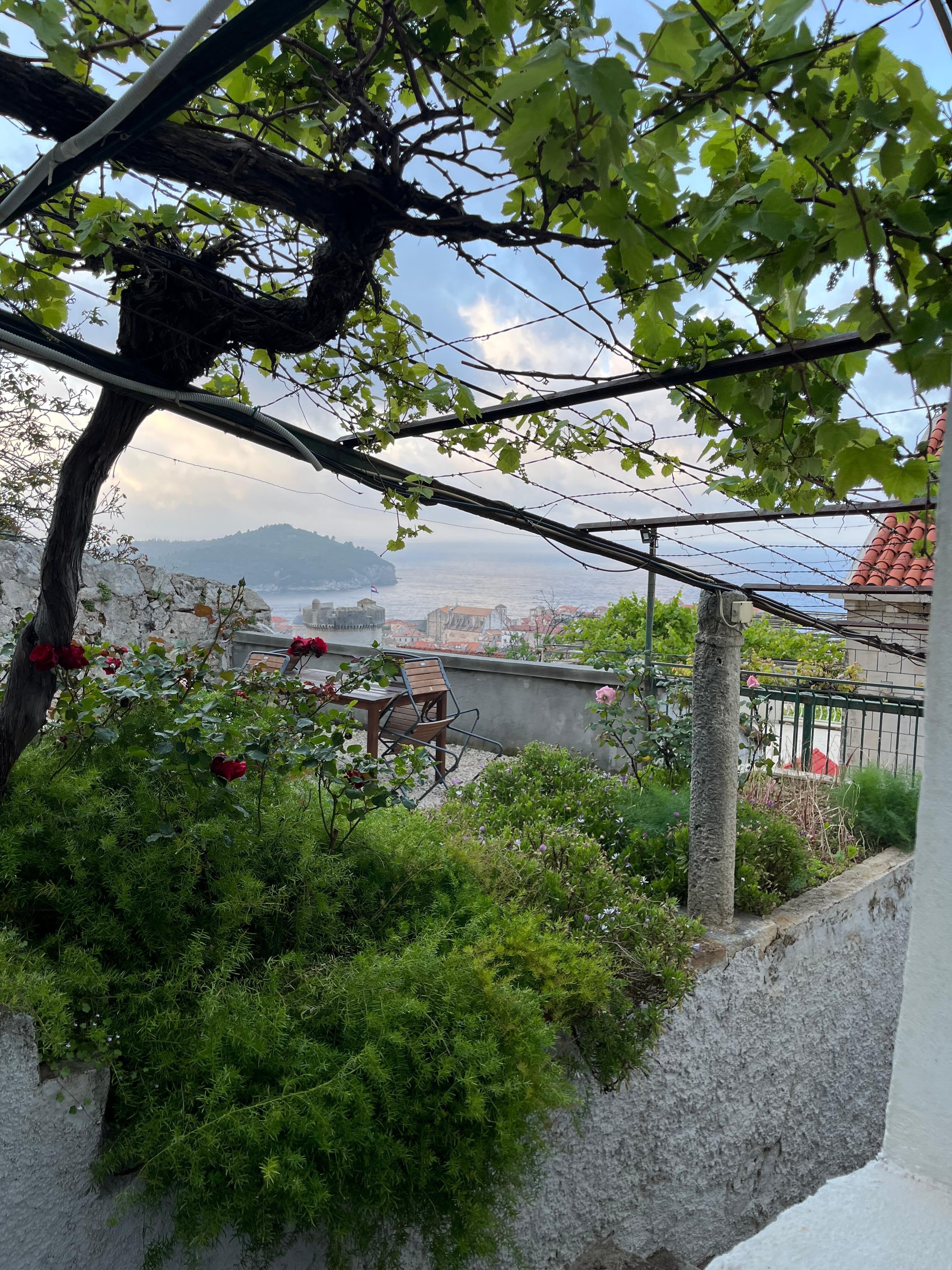View from cottage 