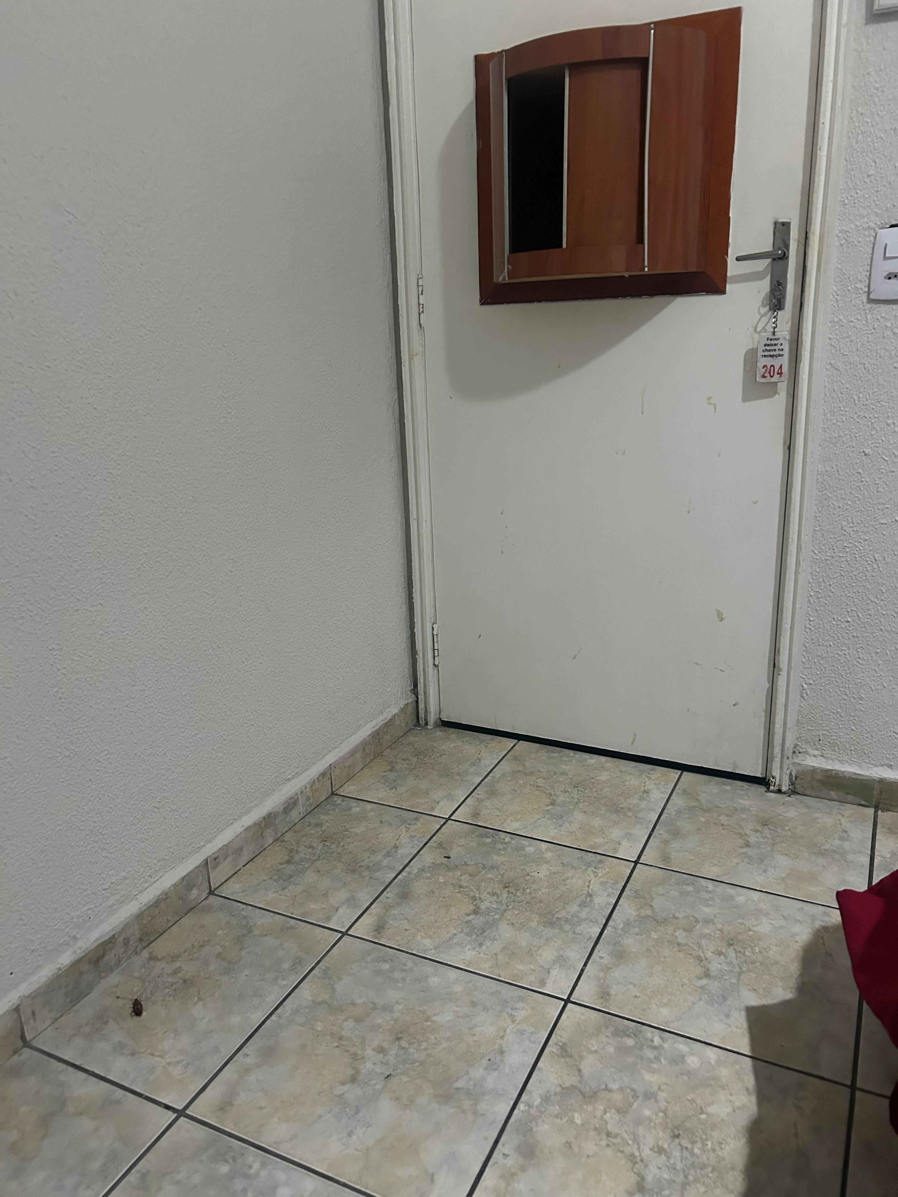 Olha a barata no chão 