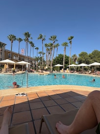 The gorgeous pool area
