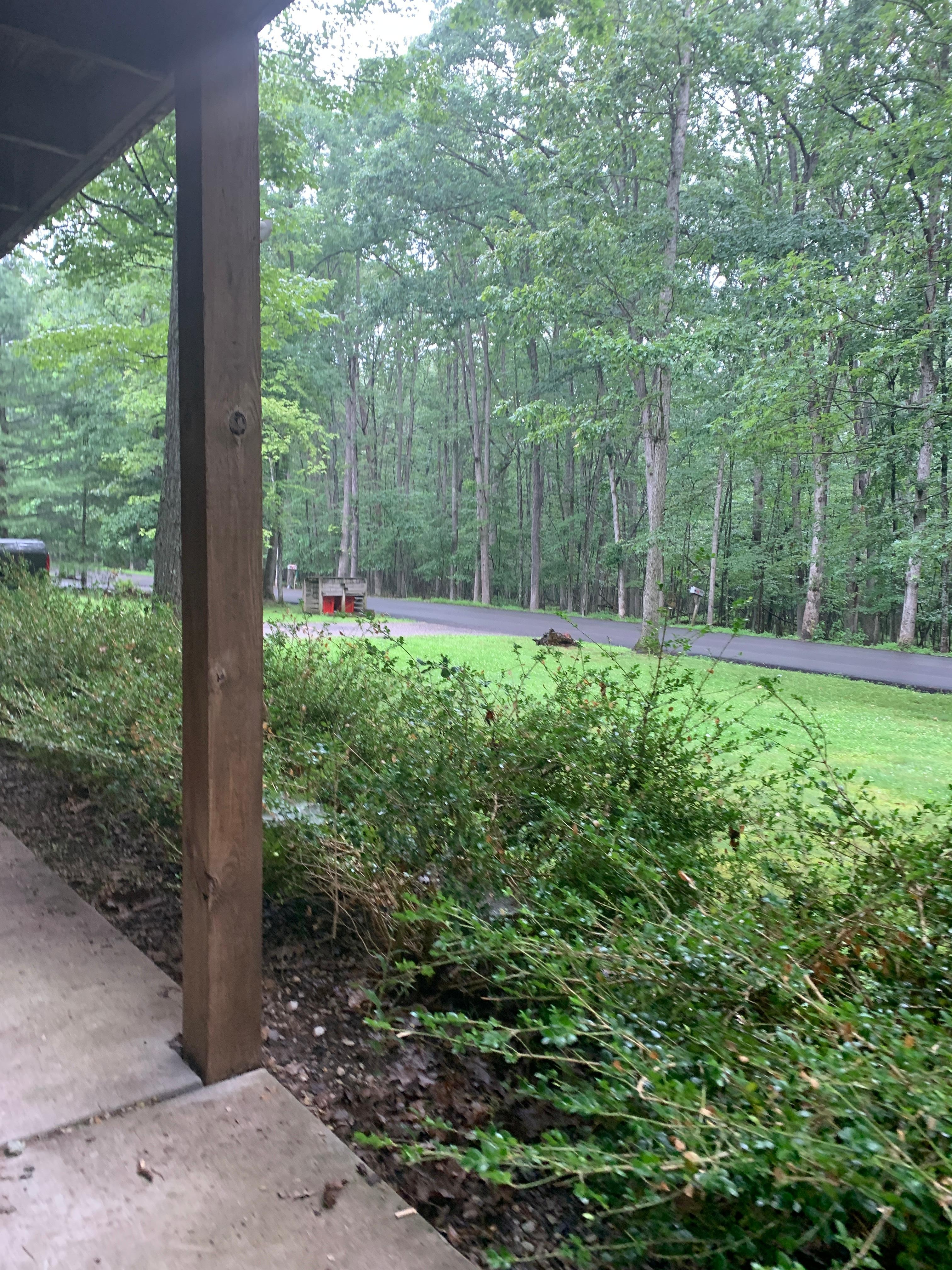 Sitting on the swing on the front patio 