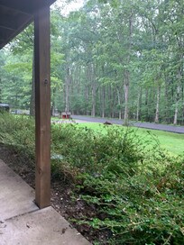 Sitting on the swing on the front patio