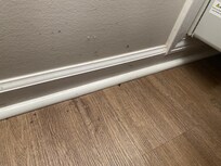 Dead bugs