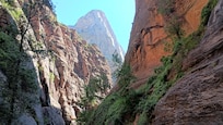 Zion NP