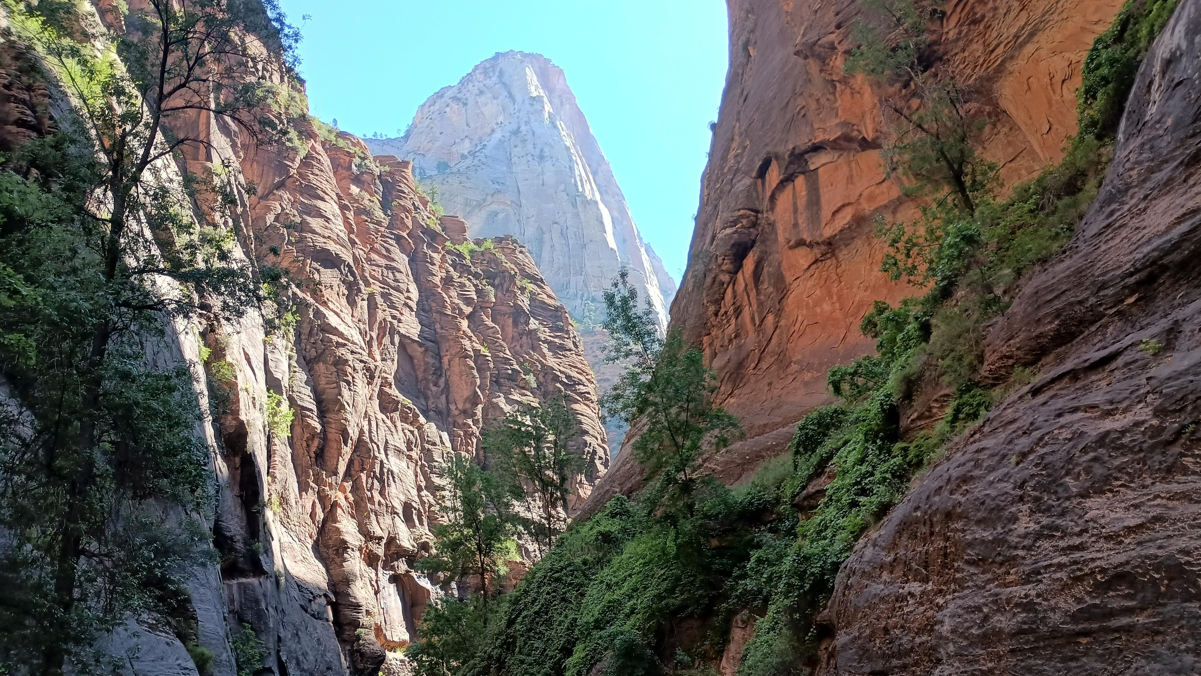 Zion NP