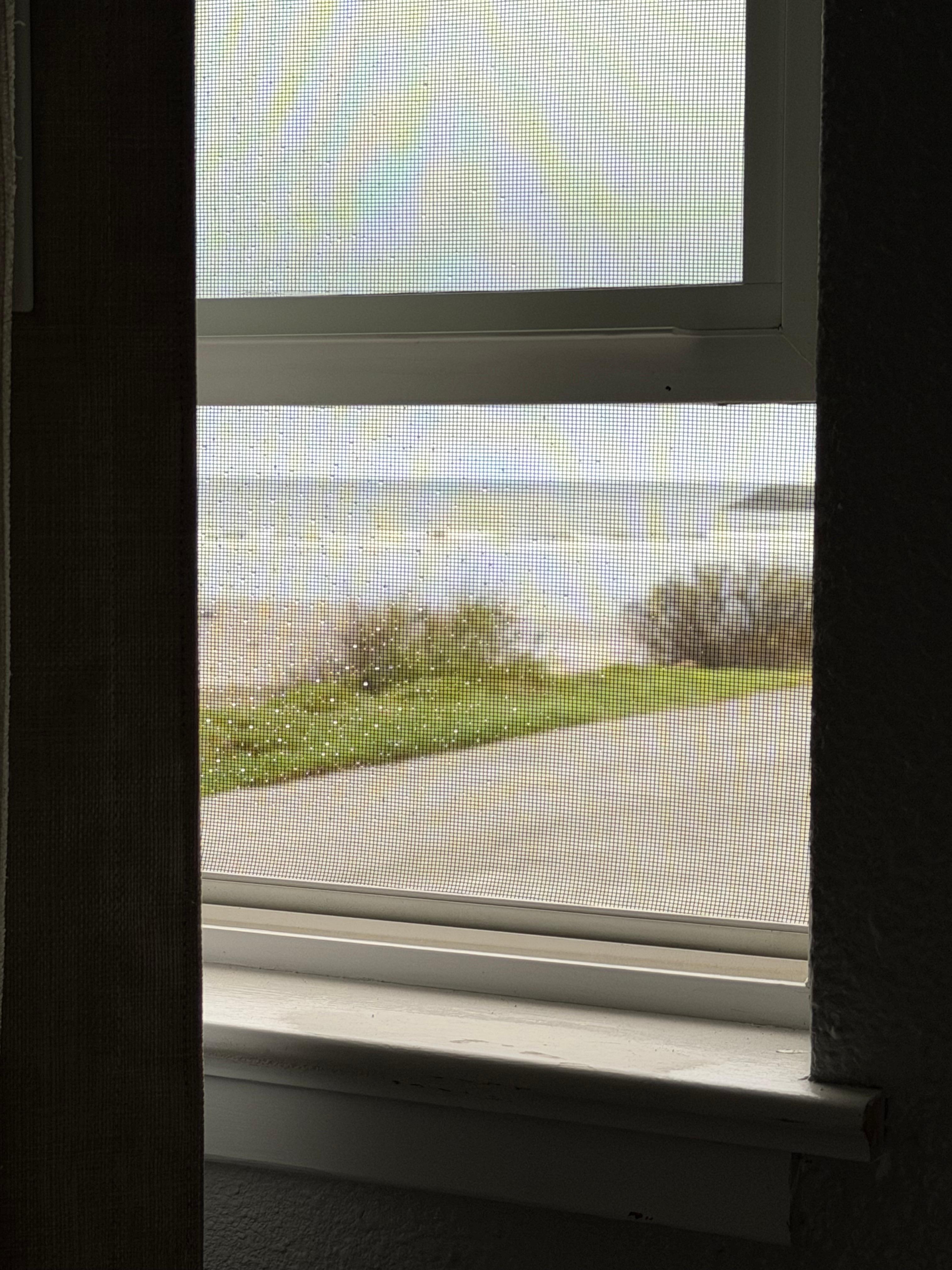 Window view