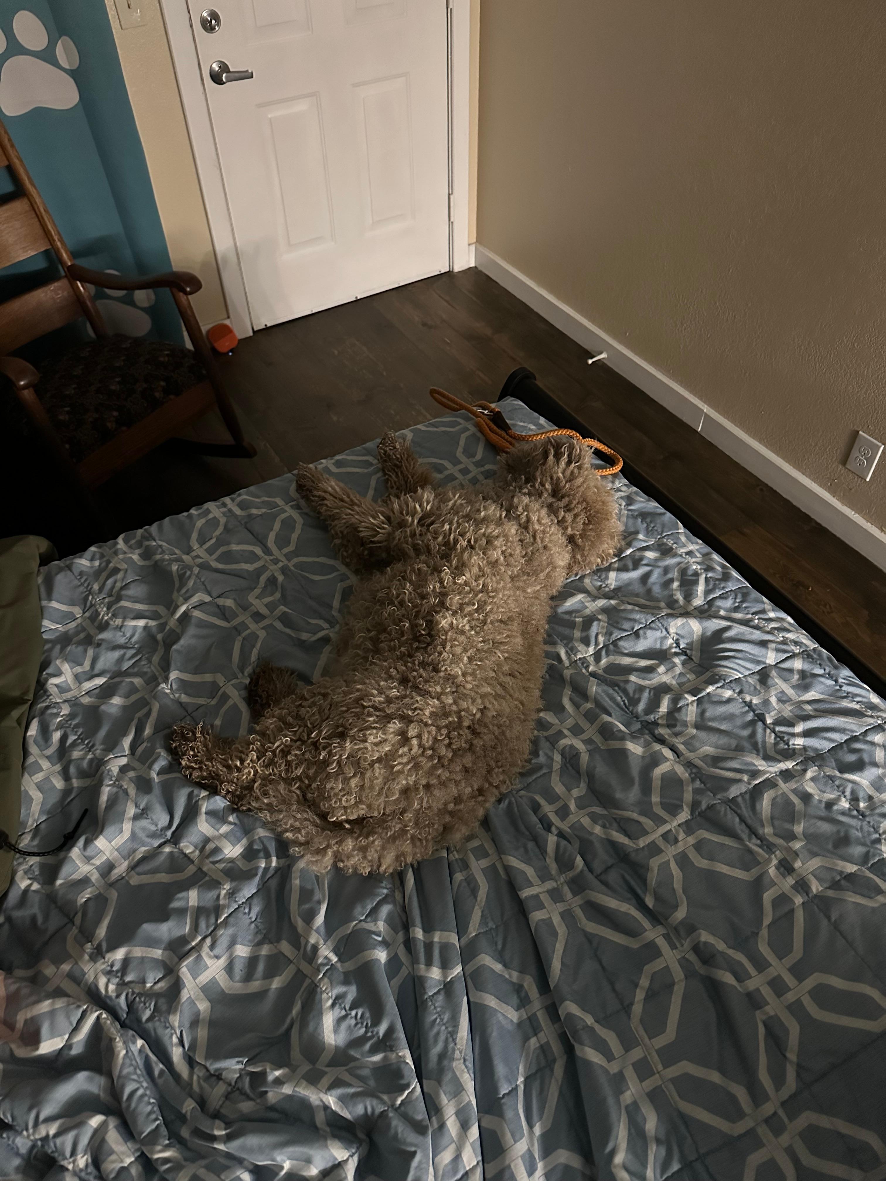 Sorry I only really take pictures of my dog and/or flowers
Hashtag deal with it