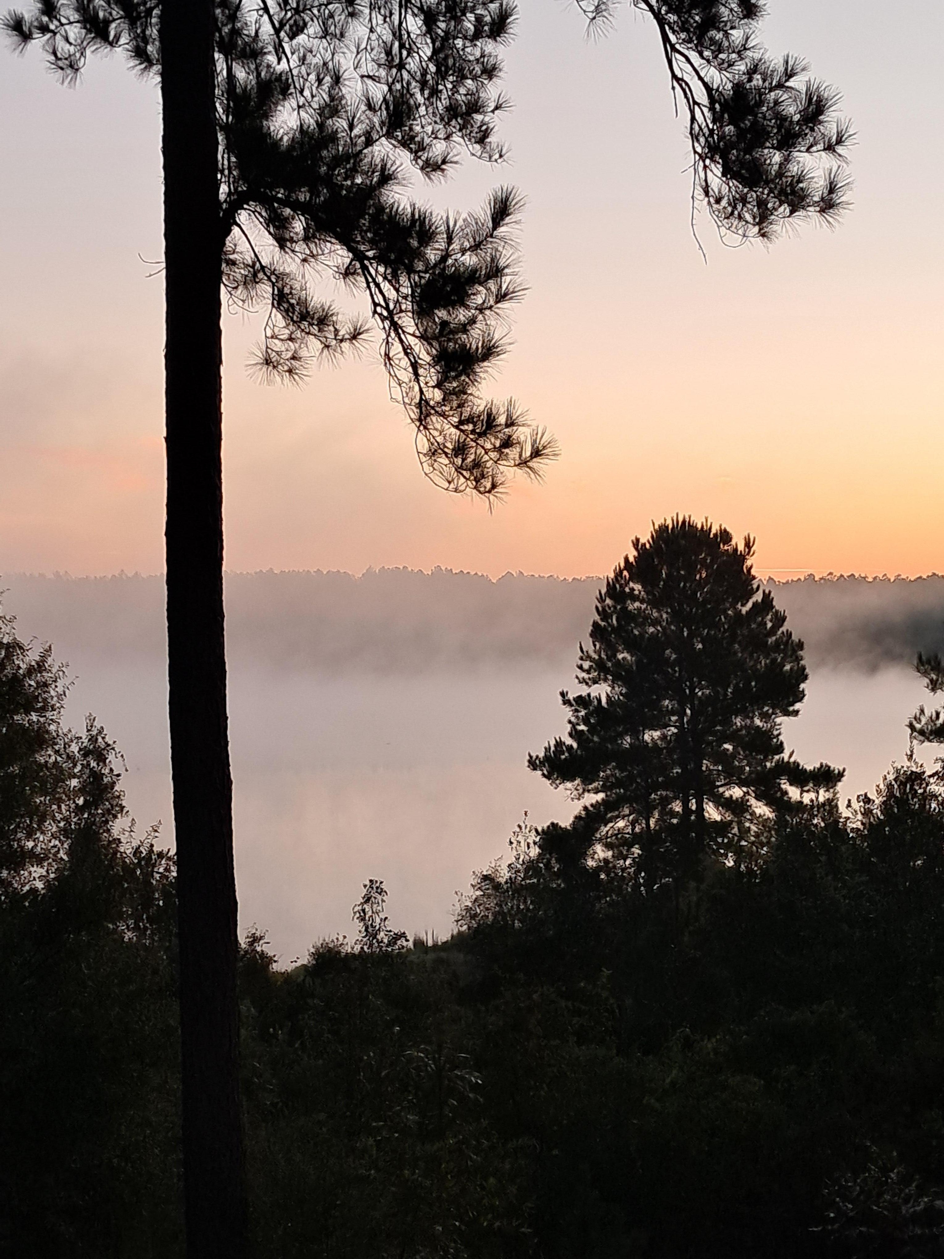 Sunrise from back porch