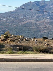 Walk down the Road from the guest house.
