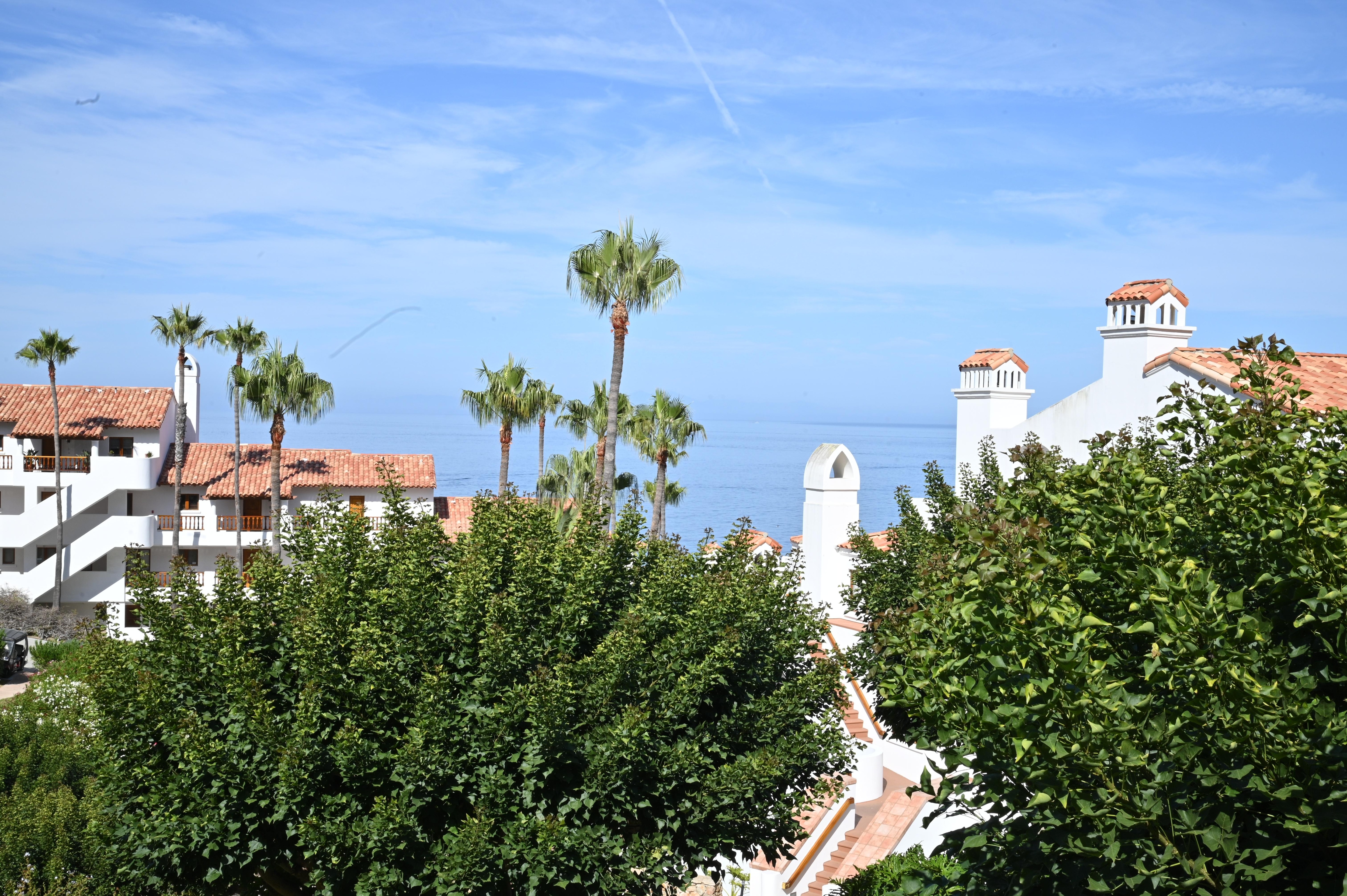 View from back patio 