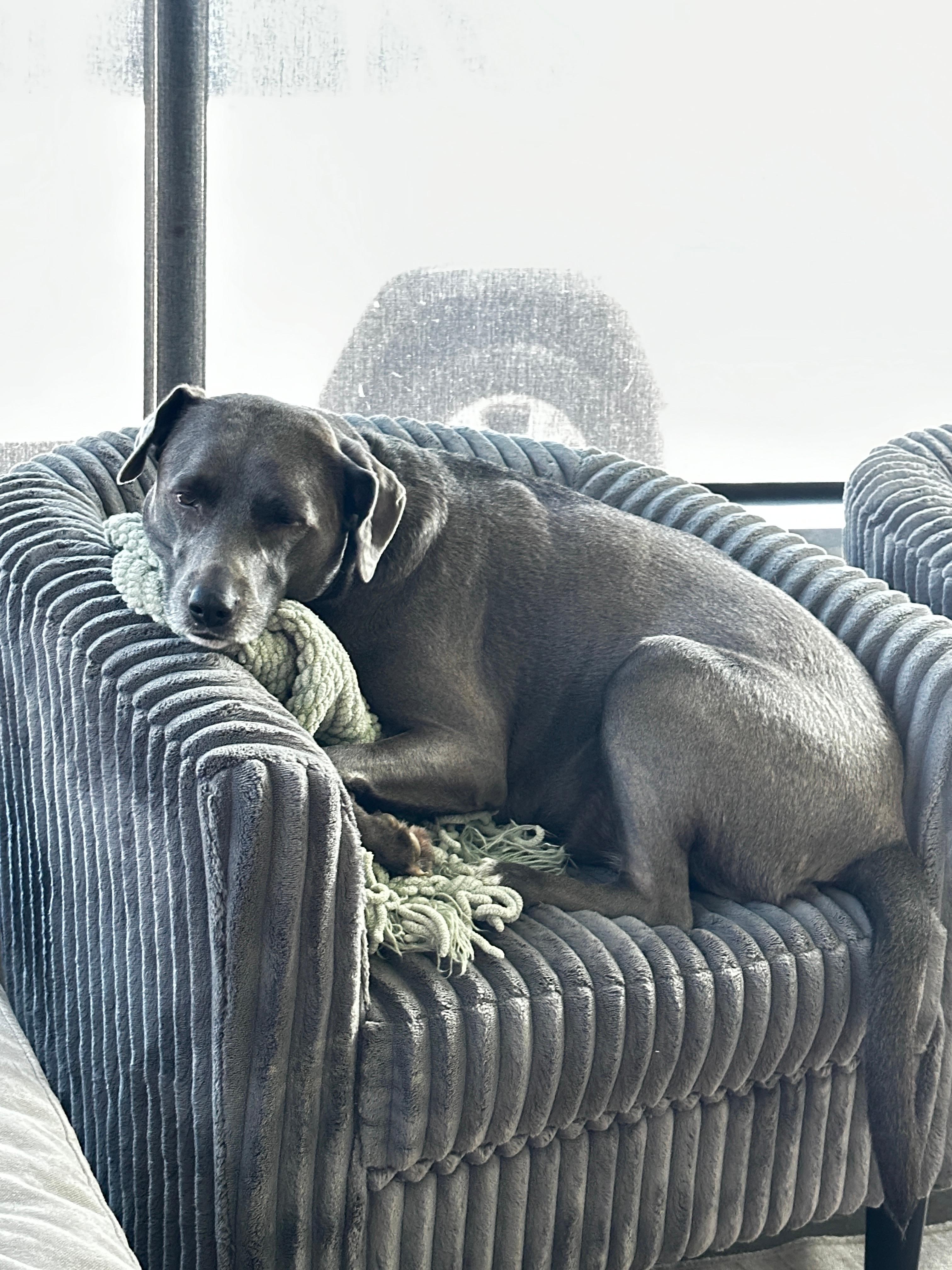 My Libby’s favorite spot! 