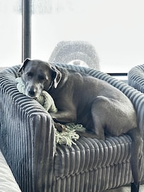 My Libby’s favorite spot!